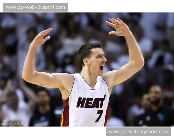 烈焰与蜂群的华章：热火与黄蜂的深度解析